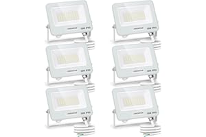Aigostar Faretto LED da Esterno 30W, 2450LM, Faretti LED Esterno luce bianca 6500K, Luce di Sicurezza Impermeabile IP65, Per Giardino, Cortile, Garage, Corridoio, Confezione da 6