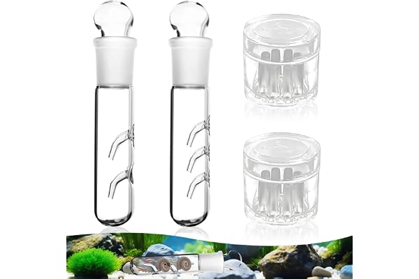 4 stycken planary fälla snigelfälla akvarium, 2 hål 3 hål klart glas planaria fälla