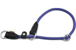 Aiminto Braided Rope Collar, Training Dog Collar, Round Martingale Collar, Slip Collar with Adjustable stopper and Slidable Stop Ring - Ideal for Medium Dogs (M(1/3") - 18" Long, Purple)