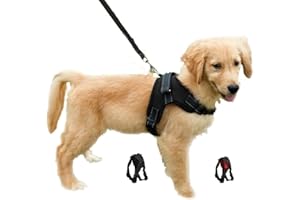 TOULIFLY Dog Harness Adjustable No Pull Puppy Vest Harness Mesh Breathable Soft Padded Pet Chest Strap for Small Dogs (XS, Black)
