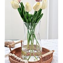 KONZEPT Glasvase 18cm - Bauchige Vase Für Tulpen & Produktbild-Vorschau 10