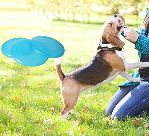 DaWa-1-Pcs-Plastic-Dog-Frisbee-Floatable-Frisbee-Dog-Toy-Dog-Exercise-and-Dog-Pet-Fetch-ToyRandom-Color