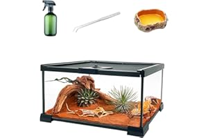 KAKOOTI Terrarium en Verre de Reptile, 12‘x8''x6'' Cage de réservoir d’Amphibiens d’enclos de Terrarium avec Porte coulissante magnétique pour Petits Reptiles, Amphibiens et invertébrés.