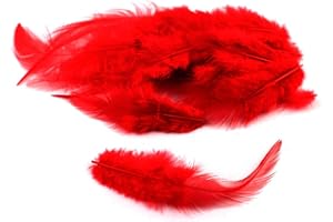 CREATIVERY Plumes en forme de croix de coq - Environ 8 à 13 cm - Rouge 250 - Plumes décoratives en plumes de coq naturelles