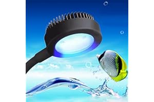 BigTron Luce per Acquario a Spettro Completo, Luce a Clip Piccola per Acquario con 2 LED Blu 10 Bianchi, luminosità 5W, per Spessore 3-5 mm (Nero)