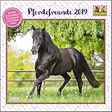 Pferdefreunde 2019 - Broschürenkalender - Kinder-Kalender - Format 30 x 30 cm by 