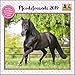 Pferdefreunde 2019 - Broschürenkalender - Kinder-Kalender - Format 30 x 30 cm by 