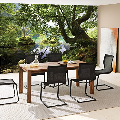 Vlies Fototapete PREMIUM PLUS Wand Foto Tapete Wand Bild Vliestapete – Wasser Baum Gras Berg Felsen Steine – no. 2421, Größe: 312 x 219 cm Vlies - 8