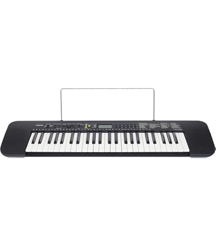 Casio CTK-240 Portable Musical Keyboard : Amazon.ae: Musical