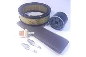 VSK KIT SERVICE PER MOTORE Briggs Stratton Vanguard OHV 303707 303777