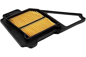 Akozon Filtre à air moto pour YBR125 YBR 125 JYM 2002-2013