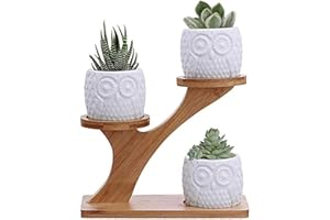 KPUY Owl Succulent Pots 3 Pcs with 3 Tier Bamboo Saucers Stand Holder, White Owl Succulent Plant Pots with Drainage and Bamboo Stand, Great for Office and Home Decor, Ideal for Gift.