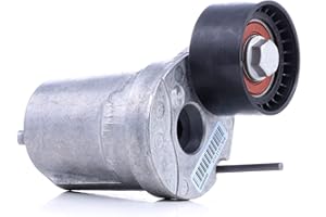 INA 534 0402 10 Braccio tenditore Cinghia Poly-V