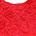 iiniim Baby Girl's Rose Flower Wedding Princess Dress Kids Formal Pageant Christening Dresses Red 9-12 Months