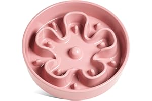 LE TAUCI Gamelle à Alimentation Lente en Céramique pour Chien,Labyrinthe pour Mangeurs Rapides, Taille Moyenne et Grande, L-1200 ML