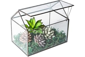 LEVILAN WONSUN House Shape Closed Glass Geometric Terrarium Tabletop Succulent House Garden Geo Planter Moss Fern Swing Lid Reptile Flower Pot for Plants Succulents
