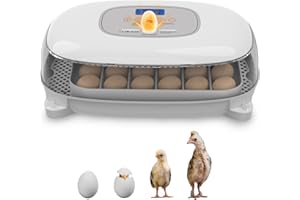 IERAKOR Couveuse Oeuf Automatique 24 Oeufs, Incubateur Oeuf Automatique avec Retournement Automatique des Oeufs et Humidification Automatique, Mire Oeuf Integré, Châssis Amovible, pour Oeufs de Poule, Canard