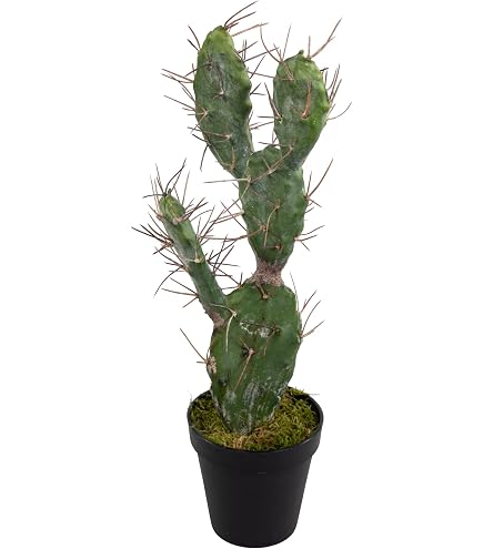 moderner blumenkasten Pflanzkasten Cortenstahl CUBY 80 x 40 x 80 cm
