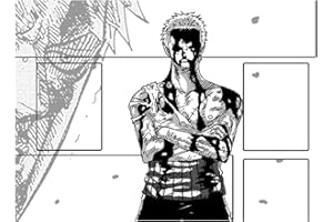 WAIFUWORLD SHOP One Piece Spielfeld Roronoa Zoro Spielmatte mit Zonen | Trading Card Game Roronoa Zoro Playmat kompatibel mit dem One Piece Trading Card Game | Kartenspielmatte im Roronoa Zoro Motiv