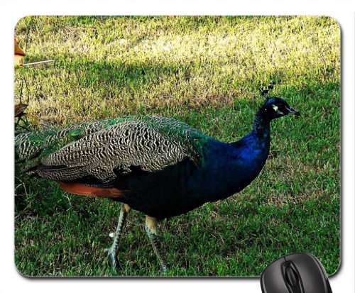 Preisvergleich Produktbild mon miel bleu Mouse Pad, Mousepad