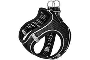 AiTodos® Harnais pour Chien, Harnais pour Chat, Taille S, Noir, Harnais pour Petits Chiens, pour Promenade de Chien en Plein Air, Dressage - Harnais pour Chiens