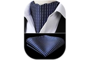 HISDERN Ascot a Pois Uomo e Fazzoletto Stripe Cravatta da Matrimonio Elegante Foulard Business Classico Ascots Set