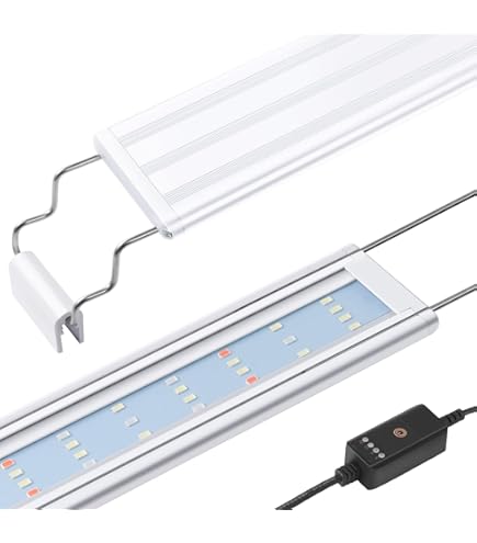 ADA Light Screen 60 Type C Plug (W60xH36cm): Buy Online at Best