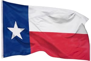 PHENO FLAGS Texas flagga – Texasflagga 90 x 150 cm med mässingsöljetter – slitstark flagga för flaggstång – 100 % polyester
