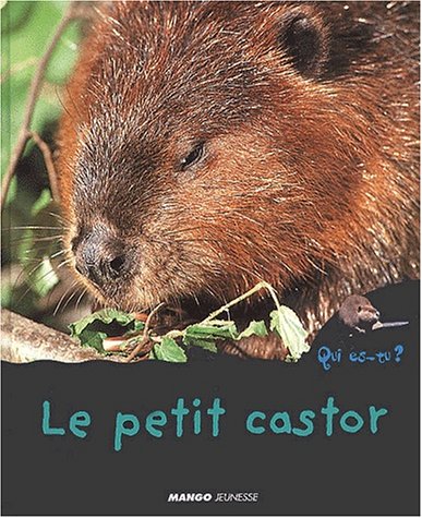 Qui es-tu ? Le Petit castor