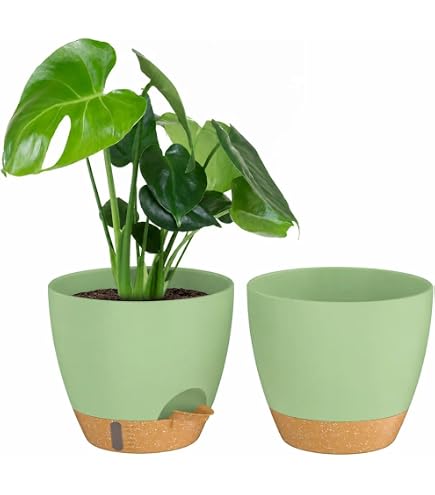 ZMTECH 20cm Plant Potten, Moderne Plantenbakken met Afvoergaten en Afneembare Schotel, Plastic Bloempotten voor Planten voor Huis Tuin Vensterbank (Donkergrijs, Set van 2 ZMTECH 20cm Plant Potten, Moderne Plantenbakken met Afvoergaten en Afneembare Schotel, Plastic Bloempotten voor Planten voor Huis Tuin Vensterbank (Donkergrijs, Set van 2