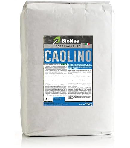 Zeolite In Polvere Ultra Micronizzata 10 Kg – Per Agricoltura Biologica, Effetto Fungicida E Insetticida, Assorbe Umidità E Protegge Le Piante – Certificata BIO