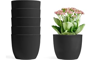 T4U 12CM Self Watering Planters Plastic Black Set of 6, Modern Round Flower Pot Indoor Nursery Bonsai Plant Pot for Garden House Plants, Aloe, Herbs and More