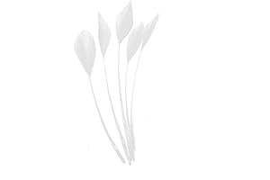 CAPRILITE Long Fascinators Feathers Stripped Coque Millinery Hats Trimmings Coloured (White)