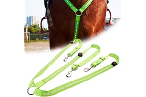 Dowoa LED Pferdegeschirr,Pferdegeschirr Pferde Brustgurt Robuste und Komfortable Sicherheitsausrüstung Beste Sichtbarkeit beim Reiten für sichtbares Pferd (Green-2)
