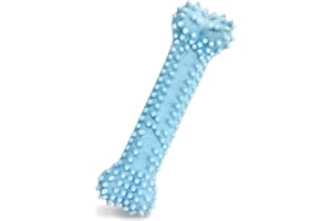 Nylabone Zabawka do Gryzienia, Niebieski, XS