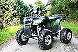  CONSTRUIDO 250cc EGL Farmer Admisión en calle Aluminio Ruedas De Enganche De Remolque Quad ATV