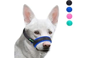 ILEPARK Muselière pour Chiens, Muselière en Tissu Réglable pour Chiens, Museliere Anti Aboiement Anti-Morsure (M,Bleu)
