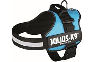 JULIUS K-9 Julius-K9 szelki dla psa, XL / 2, zielono-niebieski