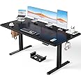 ErGear Electric Standing Desk with Advanced Brushless Motor, 160 x 80 cm Height Adjustable Desk with 100kg Load Capacity, Quiet Operation, Sturdy Metal Frame