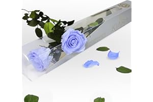 GDECORA Rosa Eterna Preservada de Color Lavanda con Tallo 55cm Mujer,Mamá,Novia,Abuela- Flores Infinita para Cumpleaños, Sant Jordi y Día de la Madre - Rosas Preservadas de Ecuador