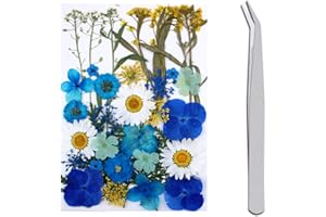 WJIAEER 33 STÜCKE Natürliche Geprägte Trockenblumen Getrocknete Blumen, DIY Gepresste Blumen Trockenblumen zum Basteln Trockenblumen