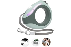 Blanlody Guinzaglio per Cani Allungabile Cane Taglia Grande Piccola Media Attraverso il Polso Guinzaglio 3 Metri Con Torcia LED e RGB, Pieghevole Ciotola e Sacchetti per Cani (verde)