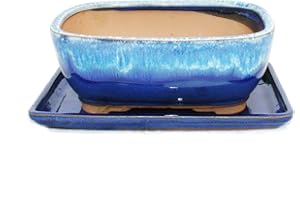 Exotenherz - Bol à bonsaï avec soucoupe taille 8" - bleu-beige - carré - modèle G5B - L 20,5 cm - l 16 cm - H 8 cm
