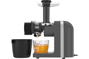 KOTLIE Estrattore Frutta e Verdura - Estrattore Di Succo A Freddo - Masticazione Delicata Non C'è Bisogno Di Filtrare - Estrattore Di Succo Senza BPA con Due Tazze e Pennello
