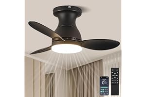 LEONTYNE 58 cm Ceiling Fans with Lights and Remote, Metal LED Ceiling Fan, Dimmable 3 Color, 6-Speed Quiet Reversible DC Motor,Flush Mount Ceiling Fan with Light for Bedroom Kitchen Small Spaces