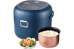 OAMGER Reiskocher, Reiskocher für Auto, 200 W, Reiskochers Kapazität 2/3 l, tragbarer elektrischer Reiskochers, multifunktional, Warmhaltebehälter, Antihaftbehälter, für Auto, 12 V, 24 V, 220 V (2L)