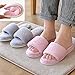 Fashion Ladies Winter Warm & Cozy Indoor Shoes Skidproof House Slipper, Green