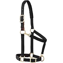 Licol Cheval Weaver Similicuir Rembourré - Avec Mousquetons Menton Et Gorge - 2,5 Cm Large - Plaqué Laiton