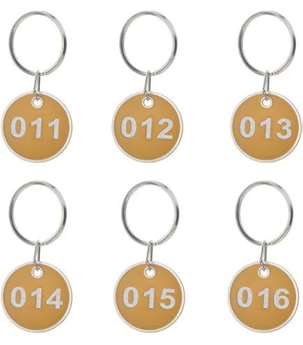20 Porte-Clés Numérotés Ovales Dorés – Étiquettes Clés Hôtel, Bureau, B&B (1 à 20)