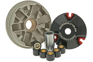 variomatik Naraku SPORT pour Peugeot City Star 50 cc, Django, Elyseo, Elystar, Jet Force, kisbee